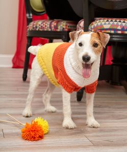 Knitting Patterns Galore Pets Dogs 34 Free Patterns