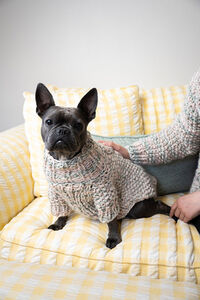 Fetch Dog Sweater *Free Pattern by Berroco*