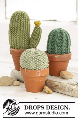 Poke Me - Cactus Decor