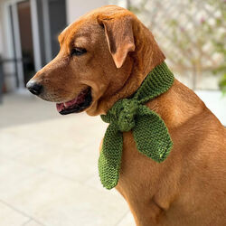 Lucky Pup Dog Scarf